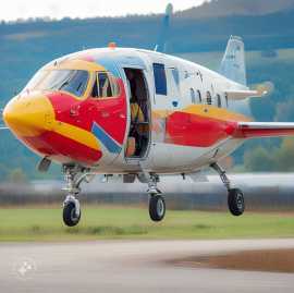 Air Ambulance Services in Darbhanga, Darbhanga