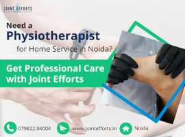 Professional Chiropractor and Physiotherapist , Noida