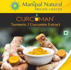 Curcumin Extract, Bengaluru