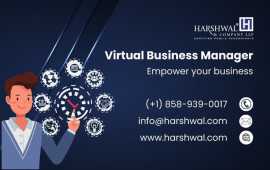 Virtual Business Controller for Accurate Financial, San Diego