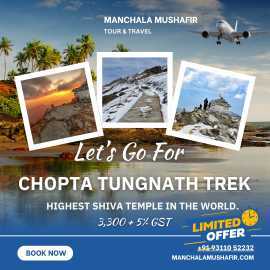 Looking to Discover Chopta: India's Mini Switzerla, Delhi