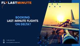 Book Last-minute Flights on Delta, Brookline