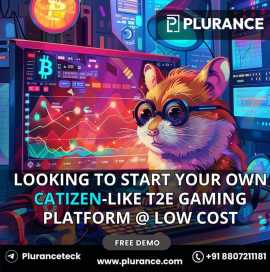 Avail our Catizen Clone Script at a minimal cost, Beijing