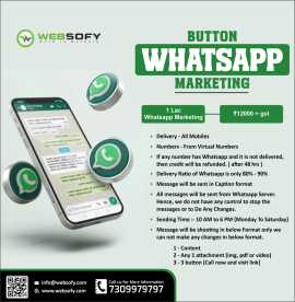 Best Bulk Whatsapp service in Lucknow - Websofy, Lucknow