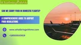 Can We Carry Food in Domestic Flights, Chicago