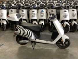 Public Auction: Surplus Electric Scooters, E-Moped