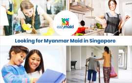 Looking for Myanmar Maids in Singapore, Bukit Timah