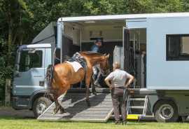 Rocking Y Ranch : Premier Horse Trucking Company, Joshua Tree