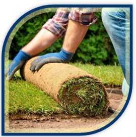  Turf Installers Sydney: Professional Lawn Install, Sydney