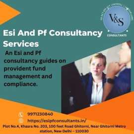 Esi And Pf Consultancy Services        , New Delhi
