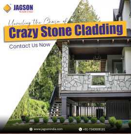 Crazy Stone, ₹ 120