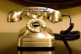 available phone numbers     , Orlando