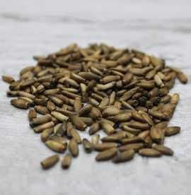 Organic Milk Thistle Seeds Fresh & Pure for Li, St Louis