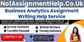 Business Analytics Assignment Help Service, London