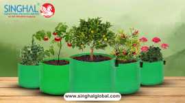 Eco-Friendly Grow Bags: The Future of Gardening, ₹ 99