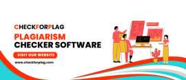 Plagiarism Detection Software, Delhi