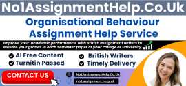 Organisational Behaviour Assignment Help, London