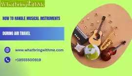 How to Handle Musical Instruments During Air Trave, Chicago