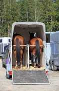 Specialized Equine Transportation in California, Joshua Tree