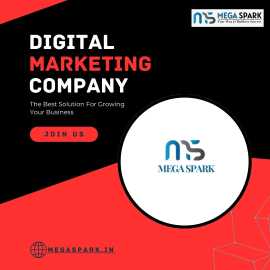 Mega Spark will be India's Top Digital Marketing C, Delhi