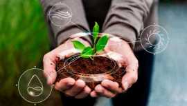 Hydroponics Investment In Hyderabad Beginner Guide, Hyderabad