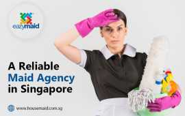 A Reliable Maid Agency in Singapore, Bukit Timah
