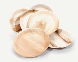 Palm leaf plates and bowls products manufacturer &, ps 1