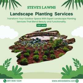 Transform Your Garden with Steve’s Lawns Inc, New York