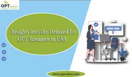 Insights into the Demand for OPT Resumes in USA, Texas City