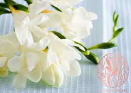 Function of Fragrance and scent in skincare, $ 1