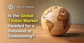 The Global Timber Market Headed for a Rebound, Taby