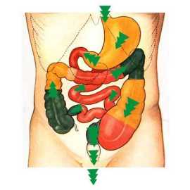Virechana Panchakarma Procedure | Body Detox |, Bengaluru