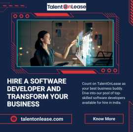 Hire a Software Developer and Transform Business, Noida