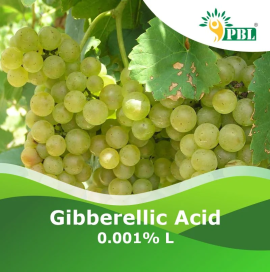 Gibberellic acid | Peptech Bioscience Ltd | Manufa, Delhi