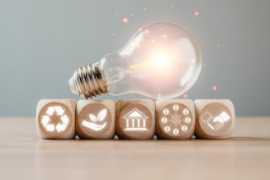 Role of Businesses in Fluorescent Bulb Disposal, Dubai