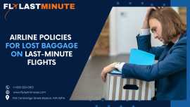 Airline Policies for Lost Baggage on Last-Minute F, Boston
