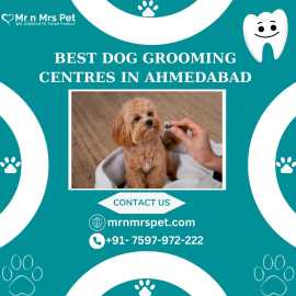 The Best Dog Grooming Centres in Ahmedabad, Ahmedabad