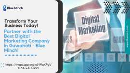 Top Digital Marketing Company in Siliguri, Siliguri