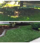 Garden Design Service in London, London