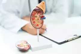 Consult the Best Urologist in Mumbai, Mumbai