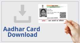 Simplified Aadhar Card Download: Your Complete Gui, Delhi