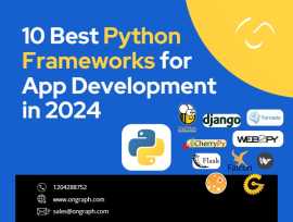 10 Best Python Frameworks for App Development, Hicksville