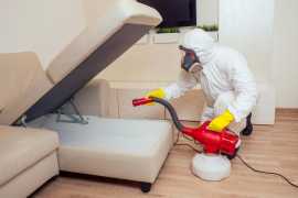 Need Fast Emergency Pest Control Services, Phoenix