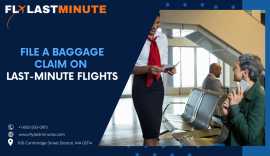 How to File a Baggage Claim on Last-Minute Flights, Boston