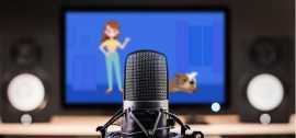 Effective and Expectational Voice Over Services, Delhi