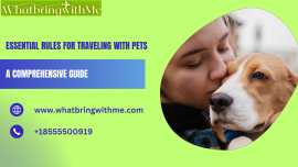 Rules for Traveling with Pets, Chicago