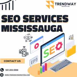 SEO  Services Mississauga, Mississauga