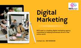 Maximize Your Online Reach with DGTLmart's Afforda, Haryana