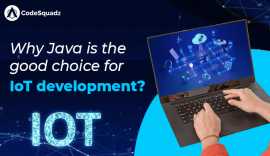 Why is Java the good choice for IoT Development?, Noida