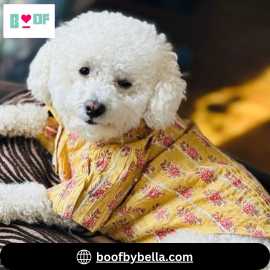 Trendy and Luxurious Dog Clothing by BoofbyBella, Delhi